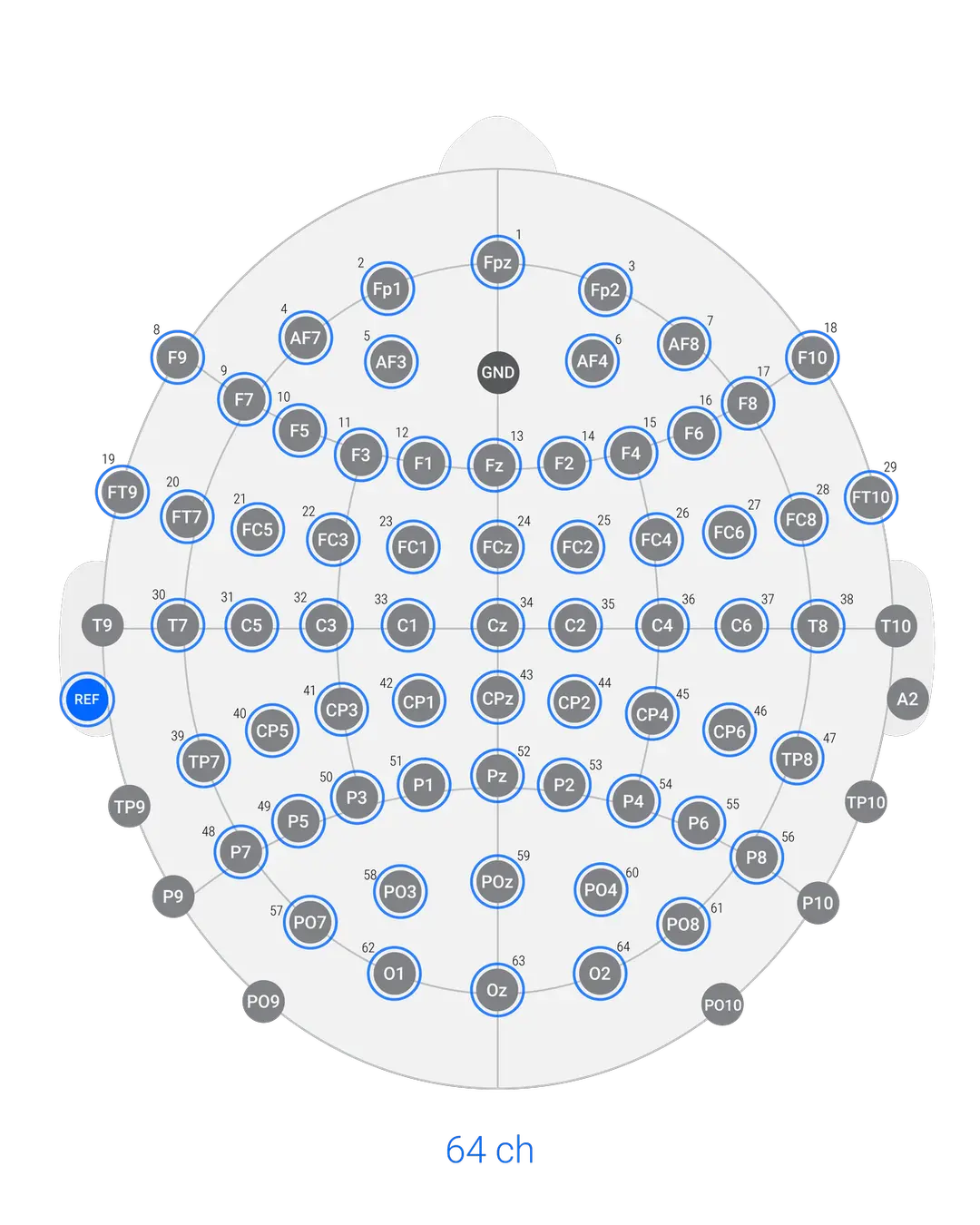 bitbrain versatile 64