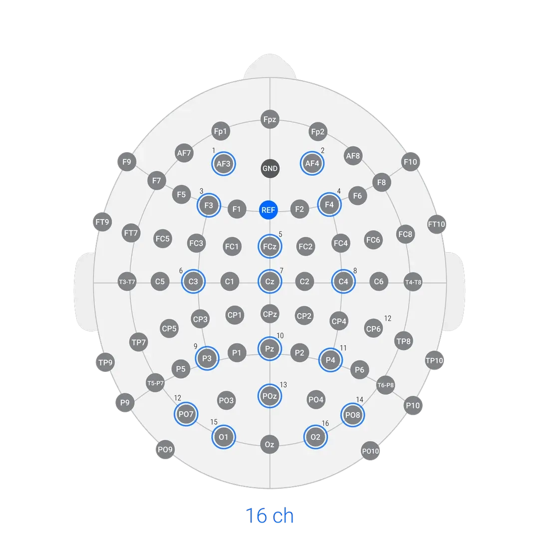 bitbrain versatile kids